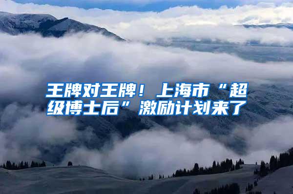 王牌对王牌！上海市“超级博士后”激励计划来了