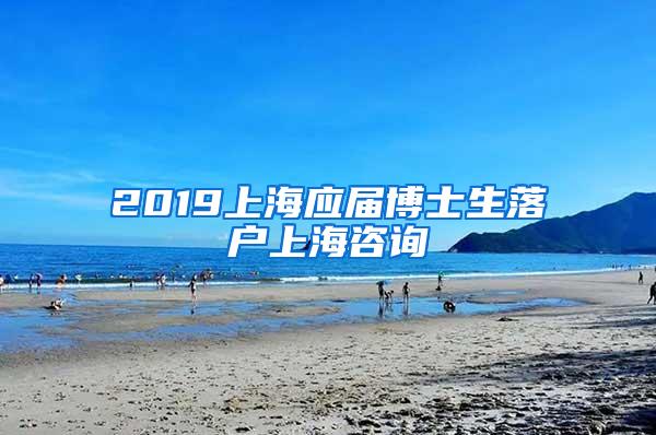 2019上海应届博士生落户上海咨询