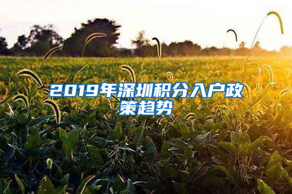 2019年深圳积分入户政策趋势