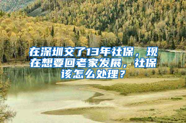 在深圳交了13年社保，现在想要回老家发展，社保该怎么处理？