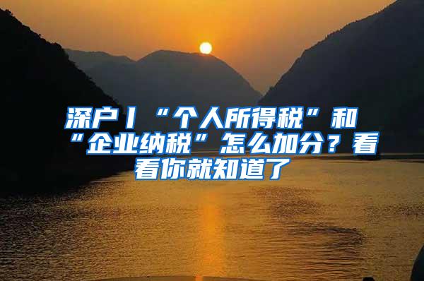 深户丨“个人所得税”和“企业纳税”怎么加分？看看你就知道了