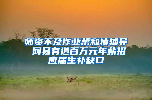 师资不及作业帮和猿辅导 网易有道百万元年薪招应届生补缺口