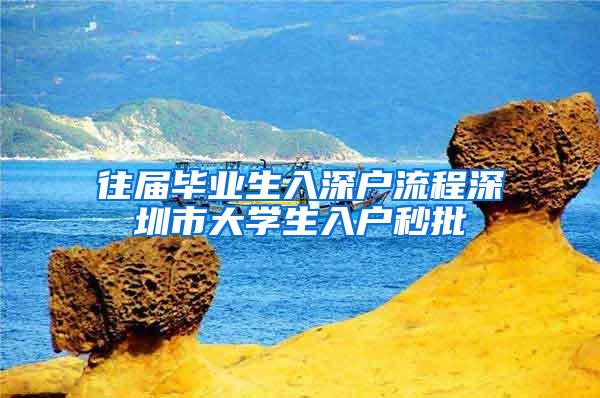 往届毕业生入深户流程深圳市大学生入户秒批