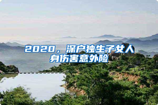 2020，深户独生子女人身伤害意外险