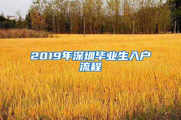 2019年深圳毕业生入户流程