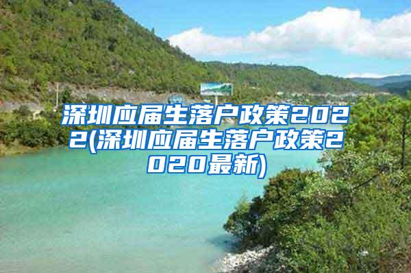 深圳应届生落户政策2022(深圳应届生落户政策2020最新)