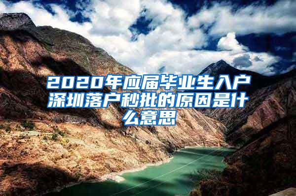 2020年应届毕业生入户深圳落户秒批的原因是什么意思