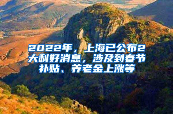 2022年，上海已公布2大利好消息，涉及到春节补贴、养老金上涨等