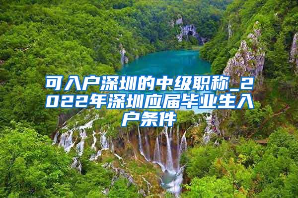 可入户深圳的中级职称_2022年深圳应届毕业生入户条件