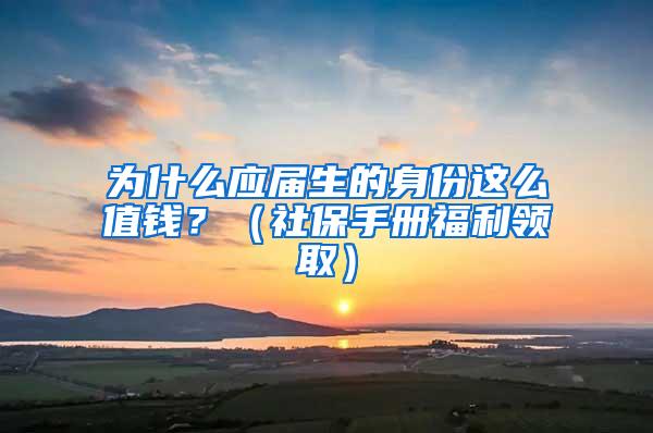 为什么应届生的身份这么值钱？（社保手册福利领取）