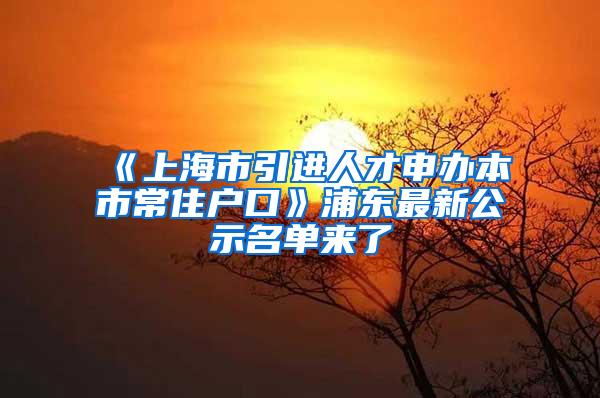 《上海市引进人才申办本市常住户口》浦东最新公示名单来了