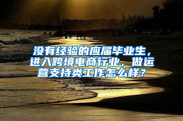 没有经验的应届毕业生，进入跨境电商行业，做运营支持类工作怎么样？