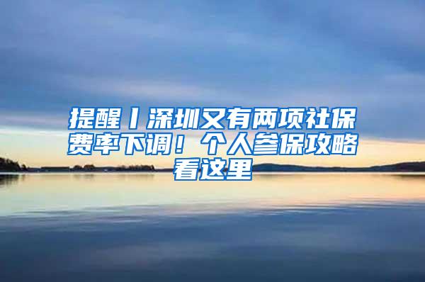 提醒丨深圳又有两项社保费率下调！个人参保攻略看这里