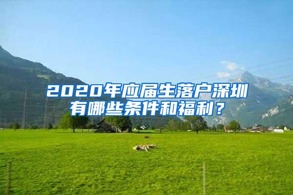 2020年应届生落户深圳有哪些条件和福利？