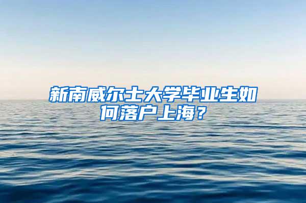 新南威尔士大学毕业生如何落户上海？