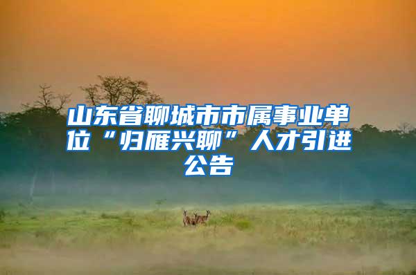 山东省聊城市市属事业单位“归雁兴聊”人才引进公告