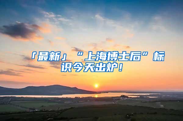 「最新」“上海博士后”标识今天出炉！