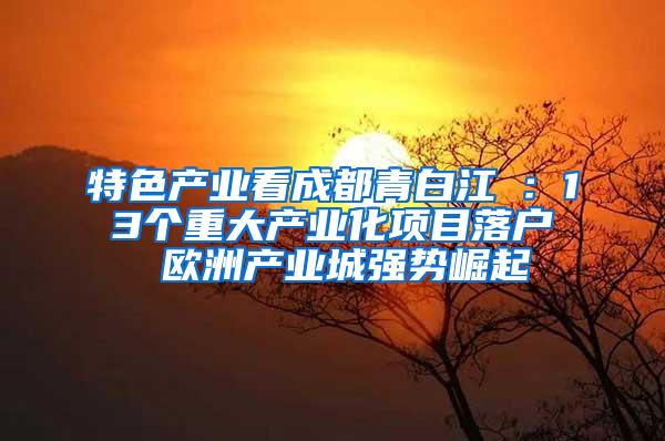 特色产业看成都青白江①：13个重大产业化项目落户 欧洲产业城强势崛起