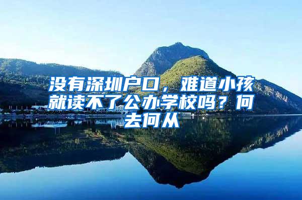 没有深圳户口，难道小孩就读不了公办学校吗？何去何从