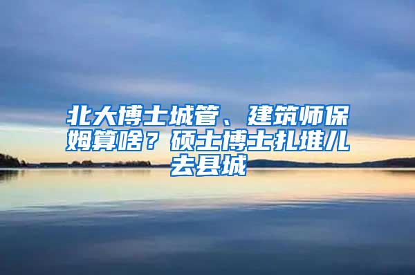 北大博士城管、建筑师保姆算啥？硕士博士扎堆儿去县城