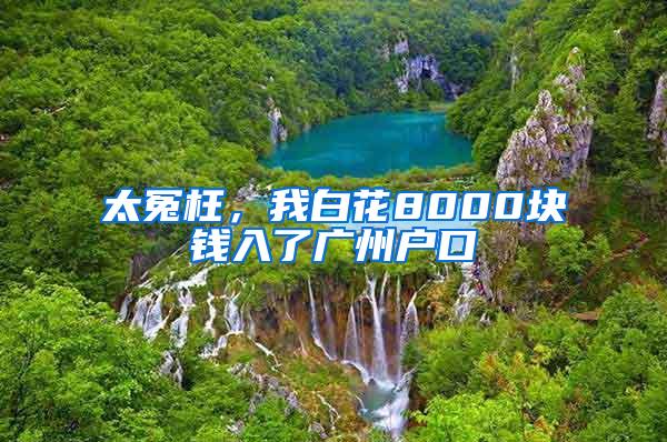 太冤枉，我白花8000块钱入了广州户口