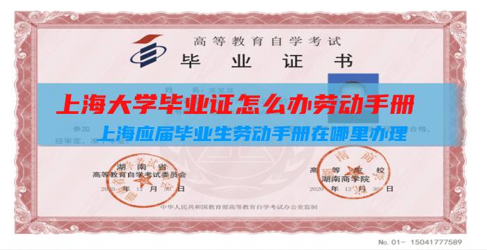 上海大学毕业证怎么办劳动手册（上海应届毕业生劳动手册在哪里办理）插图