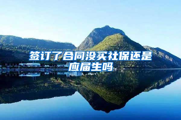 签订了合同没买社保还是应届生吗