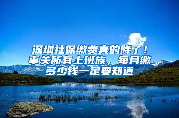 深圳社保缴费真的降了！事关所有上班族，每月缴多少钱一定要知道