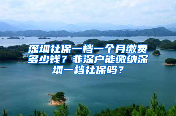 深圳社保一档一个月缴费多少钱？非深户能缴纳深圳一档社保吗？