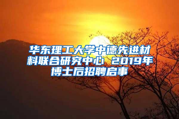 华东理工大学中德先进材料联合研究中心 2019年博士后招聘启事