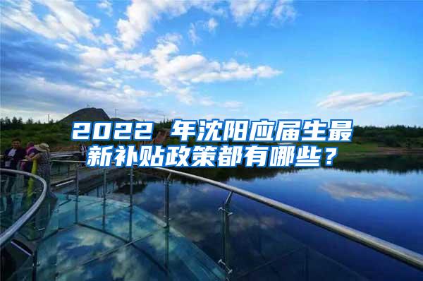 2022 年沈阳应届生最新补贴政策都有哪些？