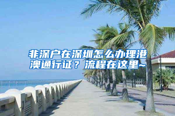 非深户在深圳怎么办理港澳通行证？流程在这里~