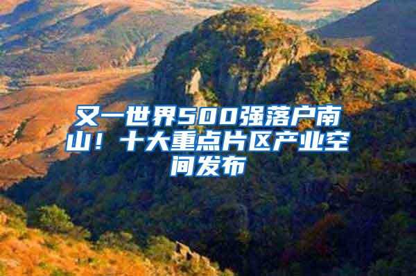 又一世界500强落户南山！十大重点片区产业空间发布