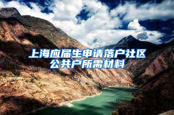 上海应届生申请落户社区公共户所需材料