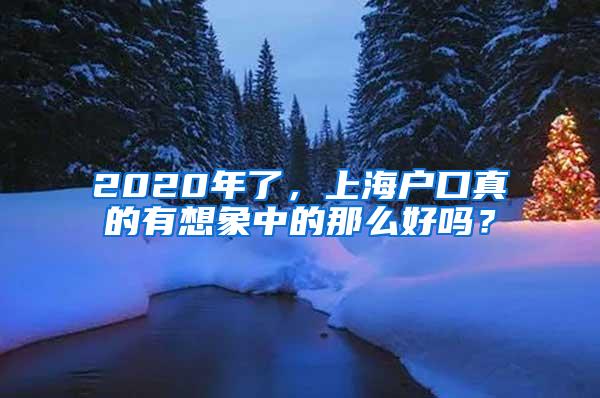 2020年了，上海户口真的有想象中的那么好吗？