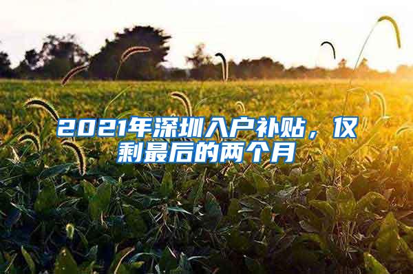 2021年深圳入户补贴，仅剩最后的两个月