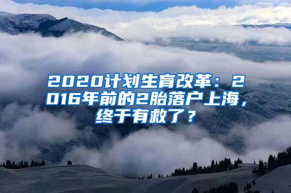 2020计划生育改革：2016年前的2胎落户上海，终于有救了？