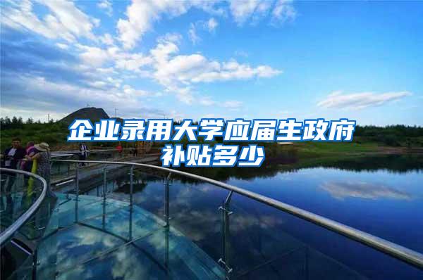 企业录用大学应届生政府补贴多少