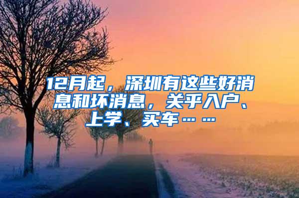 12月起，深圳有这些好消息和坏消息，关乎入户、上学、买车……