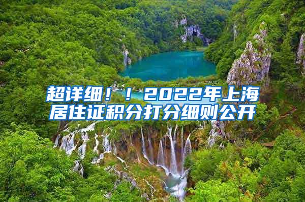 超详细！！2022年上海居住证积分打分细则公开