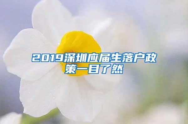 2019深圳应届生落户政策一目了然