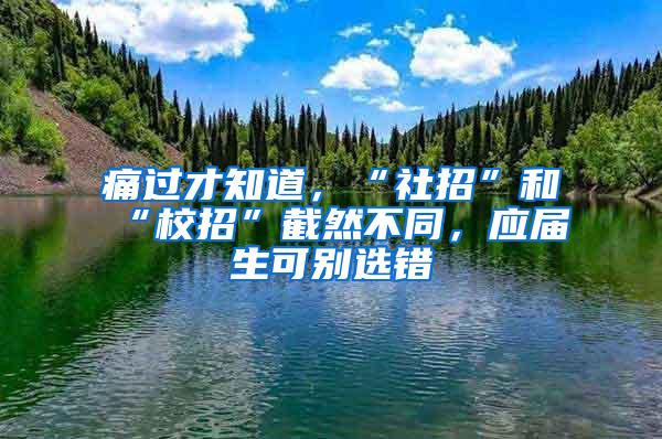 痛过才知道，“社招”和“校招”截然不同，应届生可别选错