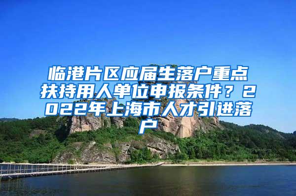 临港片区应届生落户重点扶持用人单位申报条件？2022年上海市人才引进落户