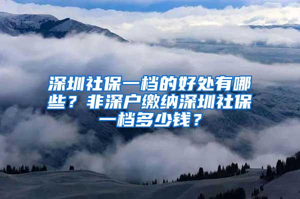 深圳社保一档的好处有哪些？非深户缴纳深圳社保一档多少钱？