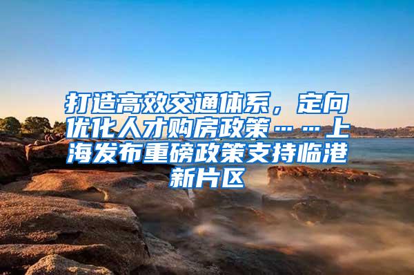 打造高效交通体系，定向优化人才购房政策……上海发布重磅政策支持临港新片区