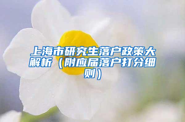 上海市研究生落户政策大解析（附应届落户打分细则）