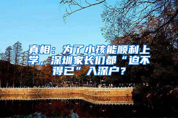真相：为了小孩能顺利上学，深圳家长们都“迫不得已”入深户？