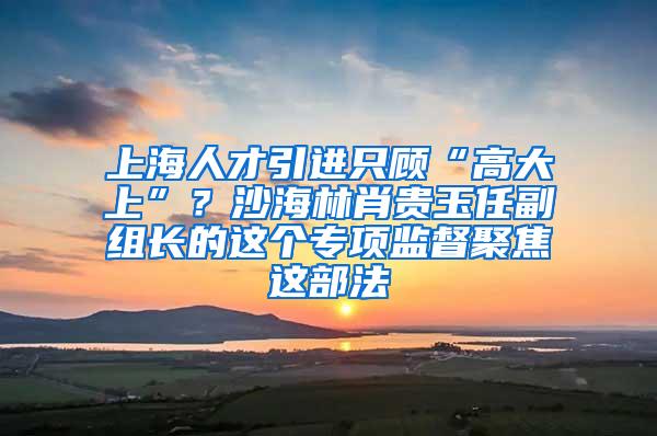 上海人才引进只顾“高大上”？沙海林肖贵玉任副组长的这个专项监督聚焦这部法