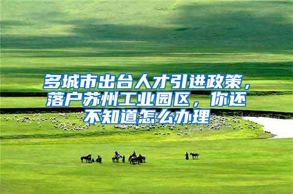 多城市出台人才引进政策，落户苏州工业园区，你还不知道怎么办理