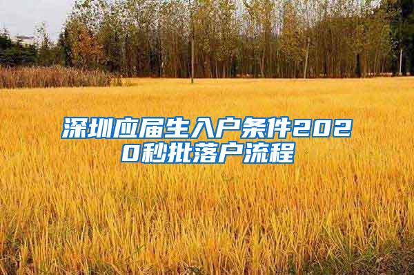 深圳应届生入户条件2020秒批落户流程